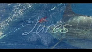 317K views · 514 reactions | Fishing Lures / Clothing / Accessories / Charter Boats: www.bluewaterfishing.eu | BluewaterFishing | Facebook