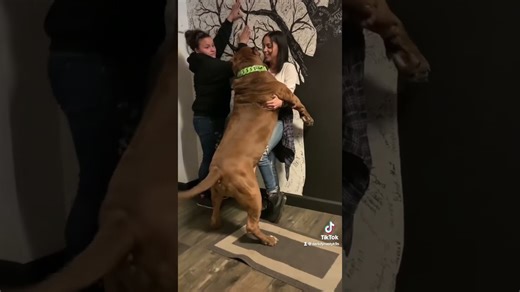 "Hulk Shows His Loving Side with Big, Gentle Hugs"