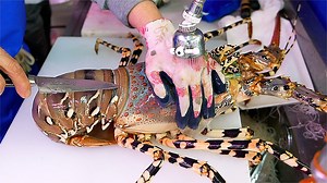 1.9M views · 41K reactions | Japanese Street Food - Giant Lobster Cooked Three Ways Okinawa Seafood Japan | Travel Thirsty | Facebook