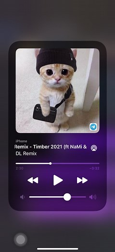 Timber 🤩🫶😻 #DLRemix #foryou #Roneat
