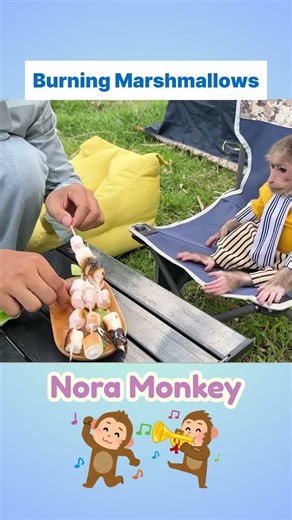 Monkey doesn't like burnt marshmallows