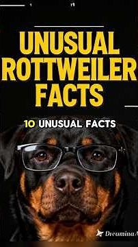 ROTTWEILER DOG FACTS 101 ✅ Fun Large Breed Info Video + Top Puppy Training & Grooming Tips! #rotties