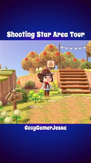 Shooting Star Area Tour in Animal Crossing
