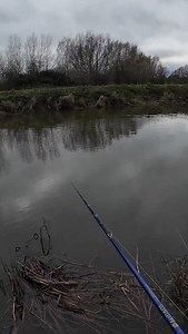 57 reactions | Got me sounding like a 90 year old man that just voided his bowels! A great example of why you should always retrieve to your feet. One of many takes on Sunday's video. #pike #pikefishing #river #riverfishing #pikestrike #jumpscare | Nuffinbutfishing | Facebook