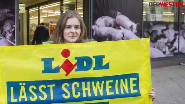 Aldi gegen Lidl - der ultimative Vergleich