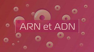 Les vaccins à ARN messager, un espoir contre le cancer | RTS