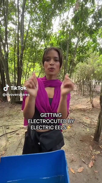 Interacting with Electric Eels: Shocking Encounters and Astonishing Power