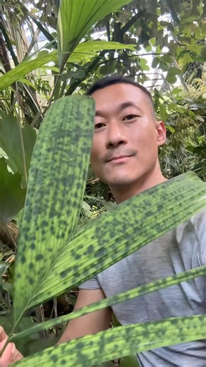 Botanical Tour in Bangkok With 2 Lovely People - Live With Plants