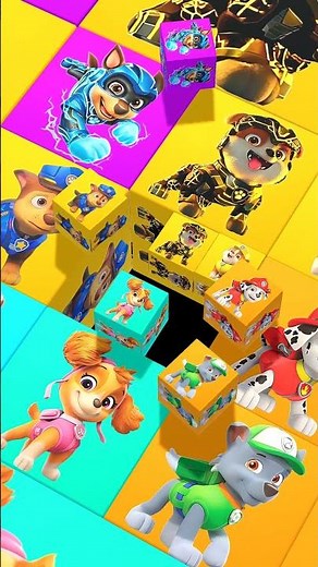 Paw Patrol Zuma 🌊 | 3D Cartoon #pawpatrol #zuma