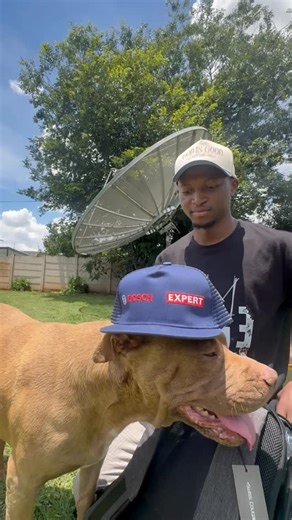 Cabbage on Instagram: "🎄 BOSCH ADVENT CALENDAR GIVEAWAY 🎄 Want to win this Bosch Advent Calendar? 👀 How to enter: ✅ Follow @doqter_cabbage & @boschpro_za ✅ Tag 3 friends in the comments ✅ Tell us what your plans are for the holidays! ⏰ Winner announced on the 21st of December 📩 Make sure your DMs are open"