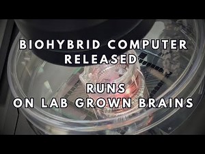 Commercial hybrid computer released: Runs on lab-grown brains
