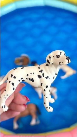 Learn Farm Animal Names for Babies Preschoolers Toddlers