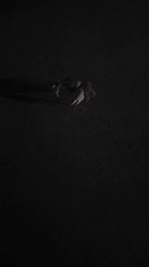 Recoil met a good sized blue crab for the first time while on his evening walk. Neither the crab or the snout of recoil were harmed in the making of this movie. | PayDirt Gary