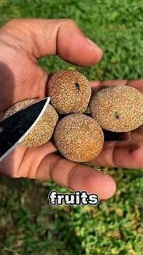 5 unique fruits you would love to try