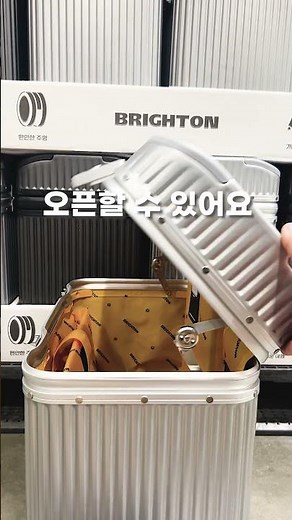 Costco In-Flight Travel Luggage Recommendations