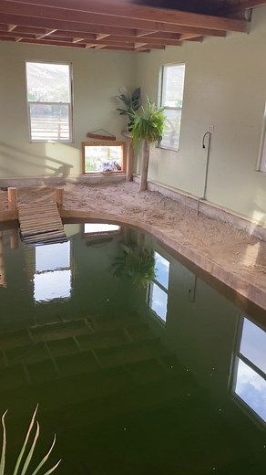 Alligator Uses “Gator-Door” 😂🐊 #alligator #alligators #alligatorsoftiktok #gator #gators #door #fyp