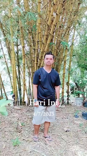 Exploring Sign Language Movements in Nature