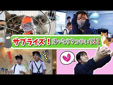 [Surprise & Prank] When you come home from school, there's a cat!?