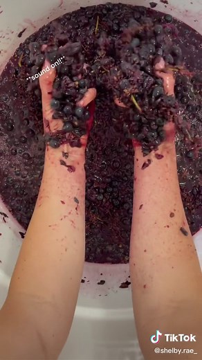 Let’s make wine !! #wine #winemaking #homewinemaking #punchdowns #fermentation #diywine #yeast #winefermentation #napavalleywine #harvest2021