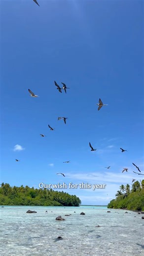 À Tetiaroa, la nature nous dévoile un monde dans lequel elle s’épanouit librement. Protégeons-la, chérissons-la et assurons-nous qu’elle prospère pour les générations futures 🌺 | Tetiaroa Society