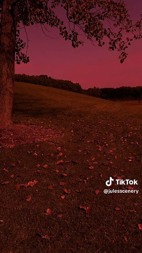Beautiful Autumn Scenery and Aesthetic Fall Videos