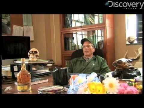 Forensic Entomologist