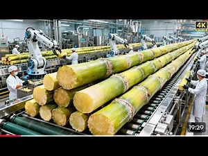 Inside Of a Modern Sugar Factory ; From Fresh Sugar Can To Fresh Sugar (full process )