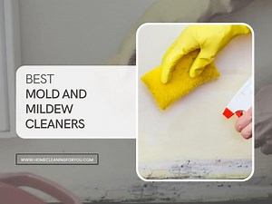 15 Must-Try Mold and Mildew Cleaners to Banish Stains Forever