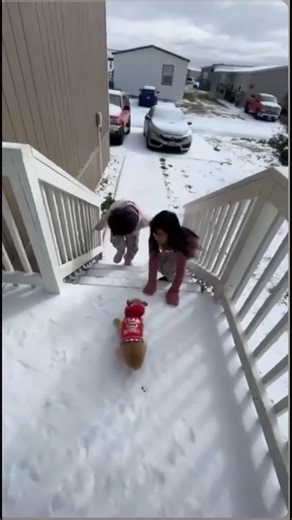 ❄️🐶 Too cute! A dog and two kiddos playing in the snow and sleet in the Austin area on Sunday. 🎥 Credit: Dilcia Rivera 📸 Send yours: cbsaustin.com/chimein | CBS Austin | John-Carlos Estrada CBS Austin