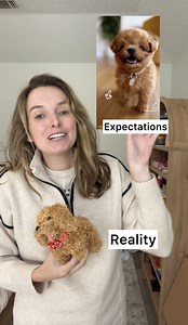 1M views · 20K reactions | Here's what happens when you buy from AI-generated ads.  | Maggie McGaugh | Facebook