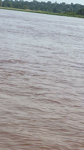 139K views · 4.3K reactions | #SURVEILLEZ LE #FLEUVE. #RDC #humanity #travel #africa #kinshasa. | Munyehya Mulwahale | Facebook