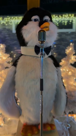 ✨Experience the Wild Winter Wonderland of Lights! ❄️ Open every day from 5–9 PM through January 3rd. Bundle up, bring your friends & family, and enjoy the magic before it’s gone! 🌟🦁 | The Wild Animal Park