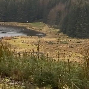 4.5K views · 177 reactions | Geil! #Repost @danny_macaskill ・・・ Pre lockdown shenanigans with @krisskyle and @mattylambert #ebiking #stunts #scotland ⚡️欄 | Mountainbike Rider Magazine | Facebook