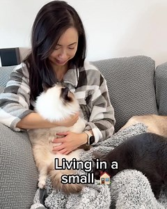 Meet the best litter box for apartment living ✨WhisperQuiet™ cleaning cycles 👃Neutralizes odors 🐱1 Litter-Robot for up to 4 cats 👀Sleek, compact design | Litter-Robot by Whisker