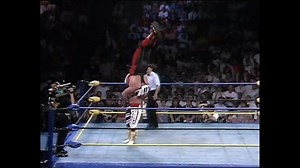 British Bulldog vs Vader [Slamboree 5/23/93] | IDieGaming