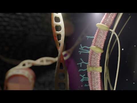 How a CELL is constructed | Animation