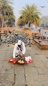 Jeetpal Gujjar on Reels