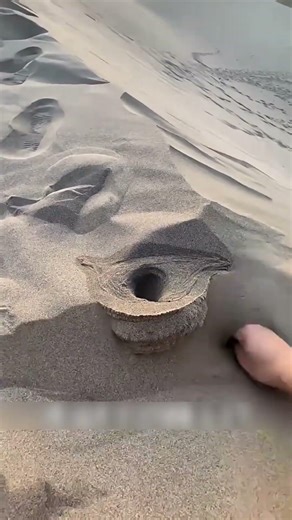 😱 बाप रे मिट्टी से ये क्या बन गया #facts #shorts