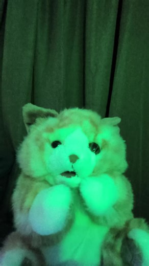 Cute and Funny Puppet Cats: Adorable Moments