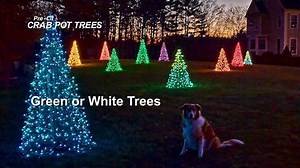 Crab Pot Trees 5 ft. Indoor/Outdoor Pre-Lit Incandescent Artificial Christmas Tree with Green Frame and 350 Clear Lights 5GC