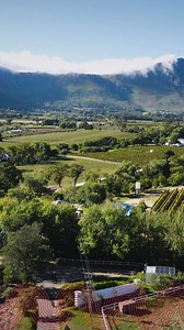 1.6M views · 137 reactions | Defy is dedicated to powering potential,...