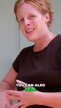 When to Backwash Your Pool Filter #shorts