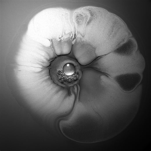 Floating Points - 'Ocotillo' (Official Video)