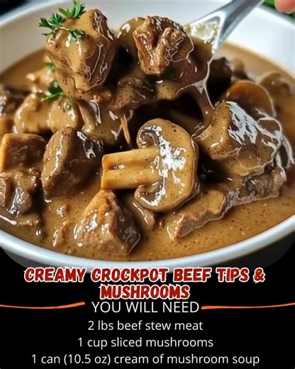 Creamy Crockpot Beef Tips & Mushrooms Ingredients 2 lbs beef stew meat 1 cup sliced mushrooms 1 can (10.5 oz) cream of mushroom soup .... 👇 Full Recipe in Coʍmеոτ 💬 | RecipesCulture