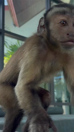 Mel on Instagram: "Je suis Milo regarde"