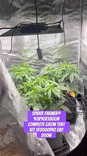 Spider Farmer® 90X90X180cm Complete Grow Tent Kit SF2000PRO EVO 200W #crazybud #420 #growled