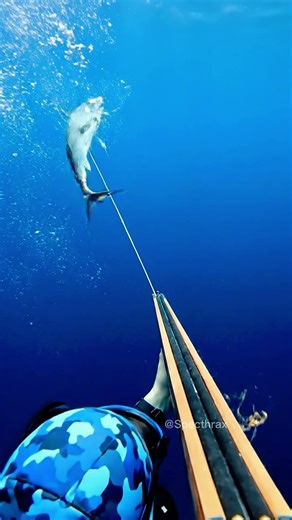 DEEP BLUE STRIKE 🌊 POV Spearfishing: Kingfish Down!