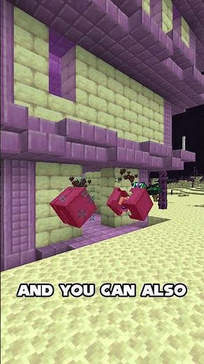 This Trick Gets You Shulkers INSANELY Fast