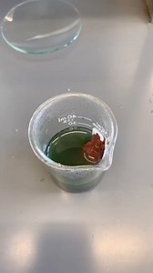 12 reactions | Filtering using a Büchner funnel #chemistry #chemteacherphil #makeitawesome #themoreyouknow #foryou | Chem Teacher Phil | Facebook