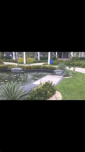 4.1K views · 20 reactions | Transform your outdoor space with a customized water pond! ✨ Dive into tranquility and beauty right in your own backyard. DM us today to bring your vision to life! #WaterPond #OutdoorOasis #CustomDesigns #fypviralシ | Green Style Landscape and Design | Facebook